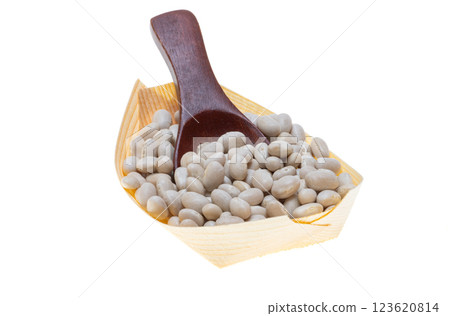 white beans isolated 123620814