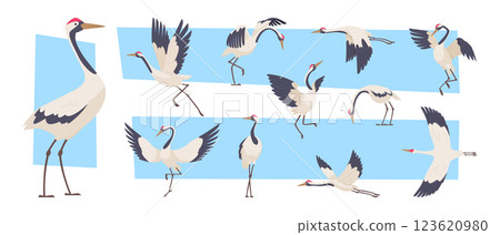 Stork. Flying crane birds collection exact vector asian wildlife creatures illustrations 123620980