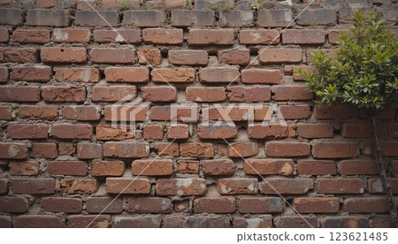 Small tree growing up on the crack of brick wall Small tree growing up on the crack of brick wall 123621485