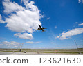 Low plane near airport 123621630