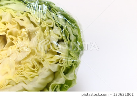 讓高麗菜新鮮有活力的秘訣 讓高麗菜新鮮有活力的秘訣 123621801