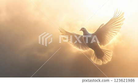 Double exposure funeral flyer featuring a large dove silhouette blended with a serene sky, warm sunlight, and soft clouds, creating a peaceful and reflective memorial design. 123621986