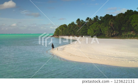 Woman is walking her dog along a pristine white sand beach on a tropical island with turquoise water. The beach is lined with palm trees and lush vegetation 123622131