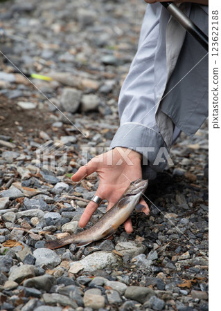 Freshly caught fish 123622188