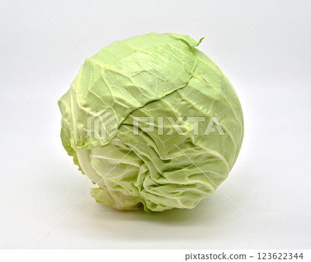 高麗菜(青球) 高麗菜(青球) 123622344