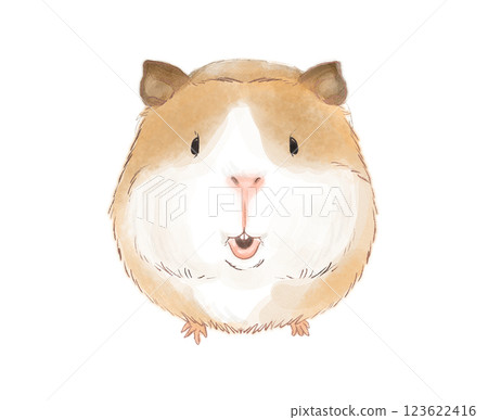 豚鼠 豚鼠 123622416