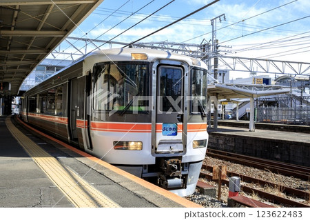 373 Series Fujikawa Express train stopped at Fuji Station 123622483