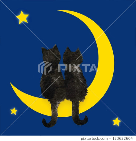 Two black cats drawn in ink are sitting happily on a crescent moon gazing at the starry sky. 123622604