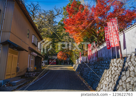 Scenery of autumn leaves at Gansui-dera Temple in Hamamatsu City (Shizuoka Prefecture) 123622763