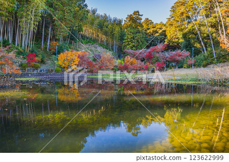 A view of the Hojo Pond at Kasui-sai Temple in Fukuroi City, Shizuoka Prefecture, colored by autumn leaves 123622999