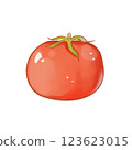 fresh tomato on white background 123623015