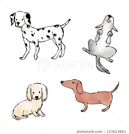 Dog illustration set Dog illustration set 123623661