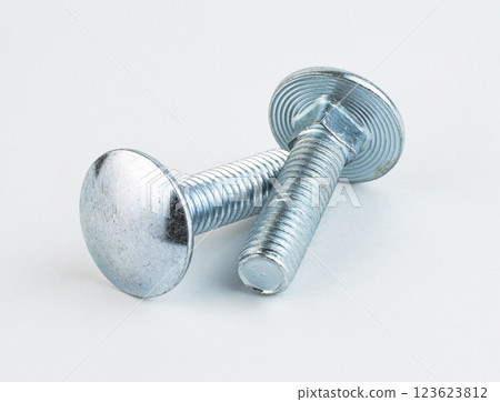 Close-up view of a metal screw on a light background. High quality photo 123623812