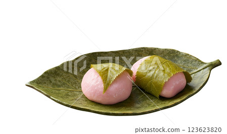 Japanese sweets/sweets 123623820