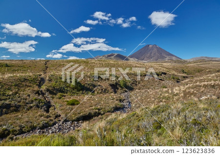 Volcanic Landscape, Tongariro Volcanic Landscape, Tongariro 123623836