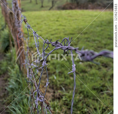 barbed wire in the countryside 123623883