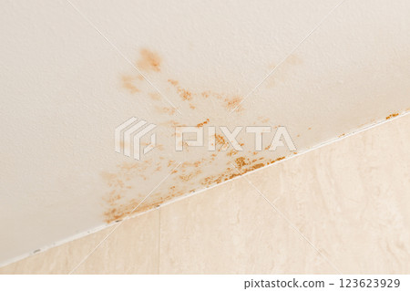 Close up of a Brown-orange mold on bathroom ceiling 123623929