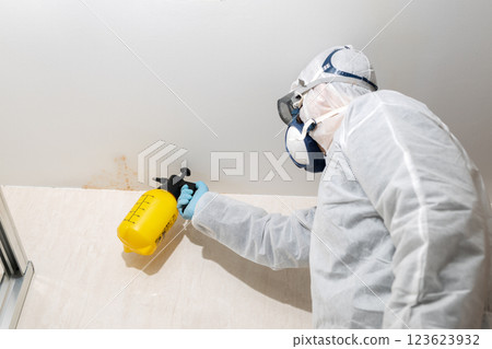 Person cleaning mold in a bathroom wearing a protective suit 123623932