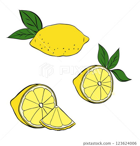 lemons with slices and green leaves composition set. Vector graphic line ink Illustration for menu and package designs.  123624006