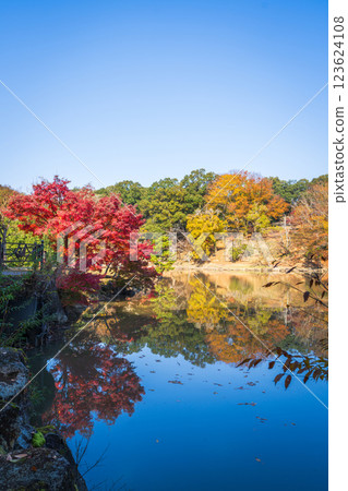 [紅葉] 奈良公園的秋天、鷺池 123624108