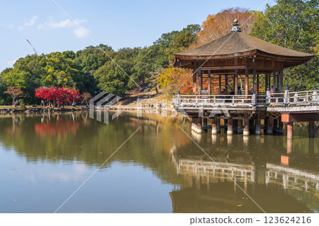 [Autumn leaves] Ukimido Hall in Nara Park in autumn 123624216
