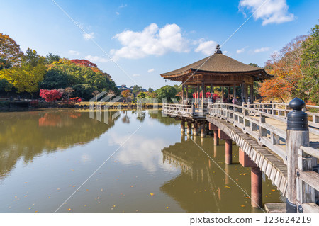 [Autumn leaves] Ukimido Hall in Nara Park in autumn 123624219