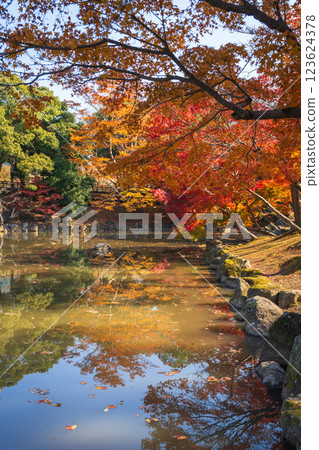 [紅葉] 秋天的奈良公園 123624378