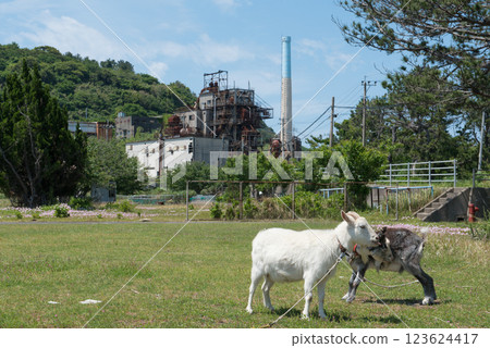 Goats and the ruins of a coal dressing factory in the square in front of the Ikeshima Coal Mine Community Center on Ikeshima, a World Heritage Site in Nagasaki, Nagasaki City, Nagasaki Prefecture Goats and the ruins of a coal dressing factory in the square in front of the Ikeshima Coal Mine Community Center on Ikeshima, a World Heritage Site in Nagasaki, Nagasaki City, Nagasaki Prefecture 123624417