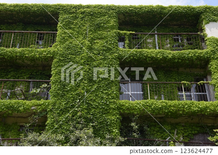 Concrete house and ivy on Ikeshima, a World Heritage site in Nagasaki, Nagasaki City, Nagasaki Prefecture 123624477