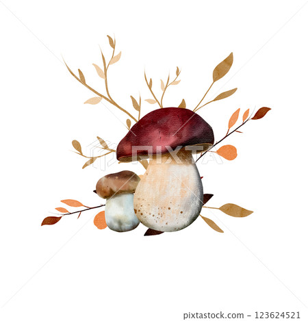 Boletus and porcini mushroom with dry twigs. Watercolor composition. Botanical illustration with mushrooms and leaves. Isolated on a white background. For textiles, design and printing Boletus and porcini mushroom with dry twigs. Watercolor composition. Botanical illustration with mushrooms and leaves. Isolated on a white background. For textiles, design and printing 123624521