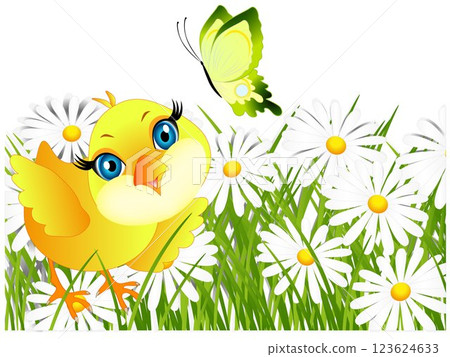 Background with daisies and chicken. Background with daisies and chicken. 123624633