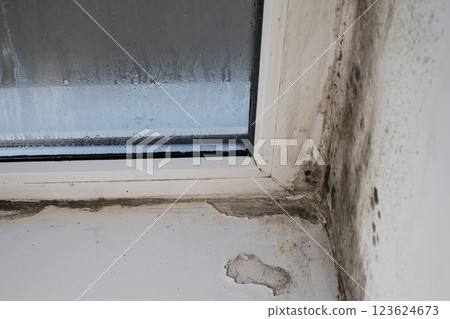 Mold on plastic windows. high humidity destroys the slopes and the window sill Mold on plastic windows. high humidity destroys the slopes and the window sill 123624673