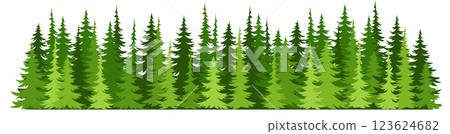 Forest fir trees silhouette. Coniferous spruce horizontal background 123624682