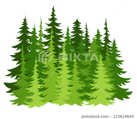 Forest fir trees silhouette. Coniferous green spruce Forest fir trees silhouette. Coniferous green spruce 123624684