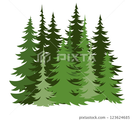 Forest fir trees silhouette. Coniferous green spruce Forest fir trees silhouette. Coniferous green spruce 123624685