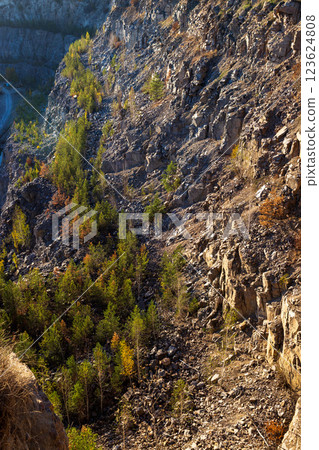 Rocky cliff with rough textures, golden sunlight, and sparse vegetation. The rugged terrain highlights natural erosion, with scattered dry plants and earthy tones dominating the landscape. 123624808