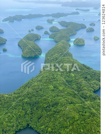 Aerial view of Palau Island 123624814
