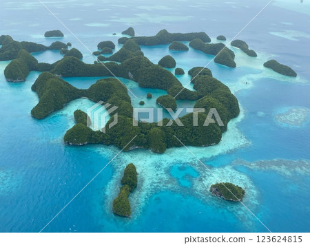 Aerial view of Palau's Seventy Islands 123624815