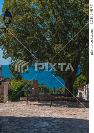 Serene coastal view with lush trees and cobblestone pathway at midday 123624977