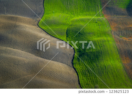 Aerial view of agricultural fields with vibrant green and brown patches 123625123