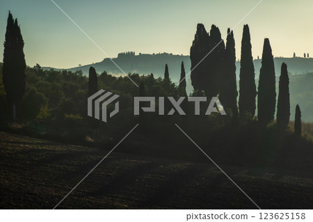 Scenic misty landscape with cypress trees in the Italian countryside 123625158