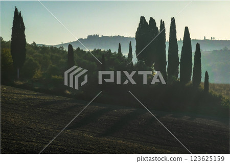 Scenic view of Italian countryside with cypress trees and rolling hills 123625159