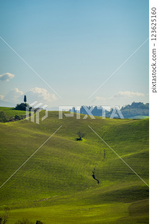 Rolling green hills in a serene rural landscape under a clear blue sky 123625160