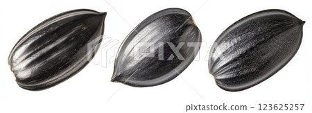 Close-up of sunflower seeds isolated on white background with clipping path, package design element 123625257