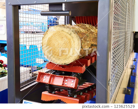 Log in wood working machine in factory Log in wood working machine in factory 123625529