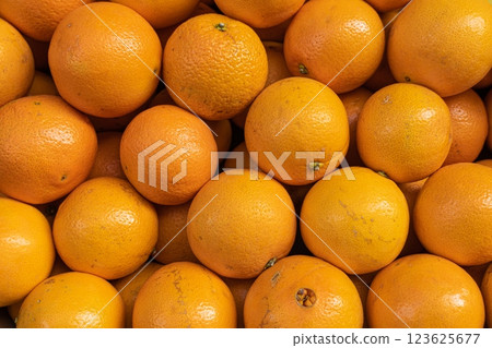Closeup of Different Varieties of Oranges in a Pile with Glossy Skin and Vibrant Colors 123625677