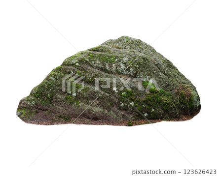 stone covered with moss isolated on white background stone covered with moss isolated on white background 123626423