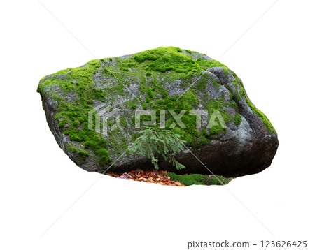 stone covered with moss isolated on white background stone covered with moss isolated on white background 123626425