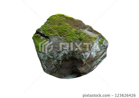 stone with grass isolated on white background 123626426