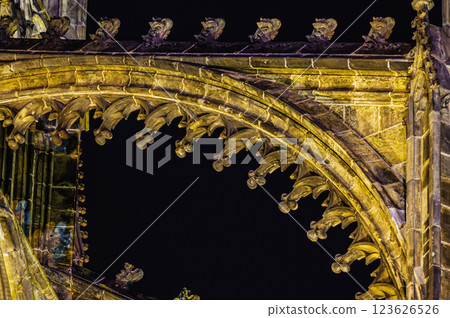 Prague landmark St. Vitus Cathedral in Hradcany 123626526